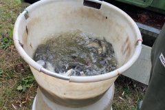 IMG-20191005-WA0008