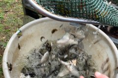 IMG-20191005-WA0009