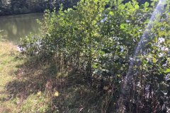 IMG-20191005-WA0016