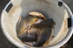 IMG-20191012-WA0009