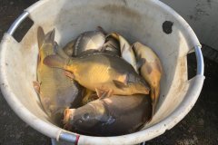 IMG-20191012-WA0010