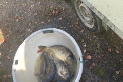 IMG-20191012-WA0013