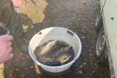 IMG-20191012-WA0014