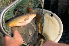 IMG-20191012-WA0022