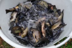 IMG-20191020-WA0004