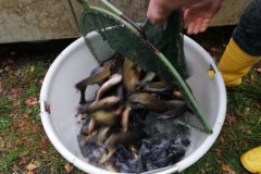 IMG-20191020-WA0008