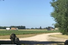 k-IMG-20190628-WA0016