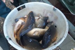 IMG-20211023-WA0033
