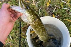 IMG-20211106-WA0005