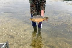1_k-IMG-20201011-WA0006