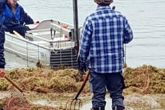k-IMG-20181027-WA0046