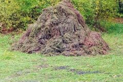 k-IMG-20181027-WA0049
