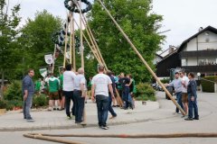 IMG-20190501-WA0019