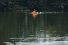 IMG-20190907-WA0011