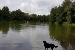 IMG-20190907-WA0086