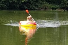 IMG-20190907-WA0097