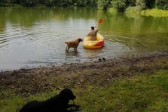 IMG-20190907-WA0099
