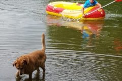 IMG-20190907-WA0103