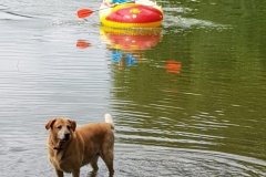IMG-20190907-WA0104