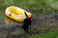 IMG-20190907-WA0105
