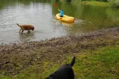 IMG-20190907-WA0109