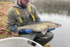 IMG-20220129-WA0002
